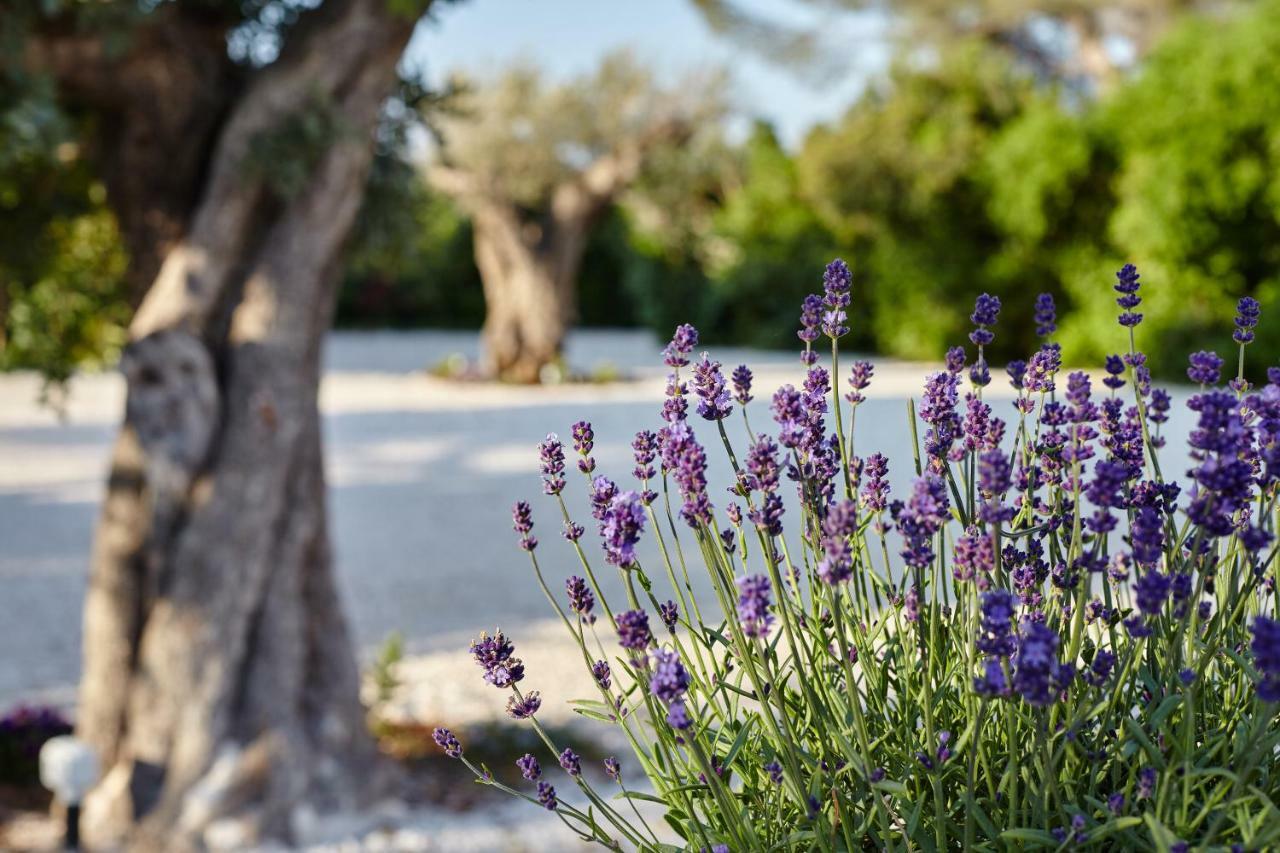 Bed and Breakfast Agapanto Masseria à Conversano Extérieur photo