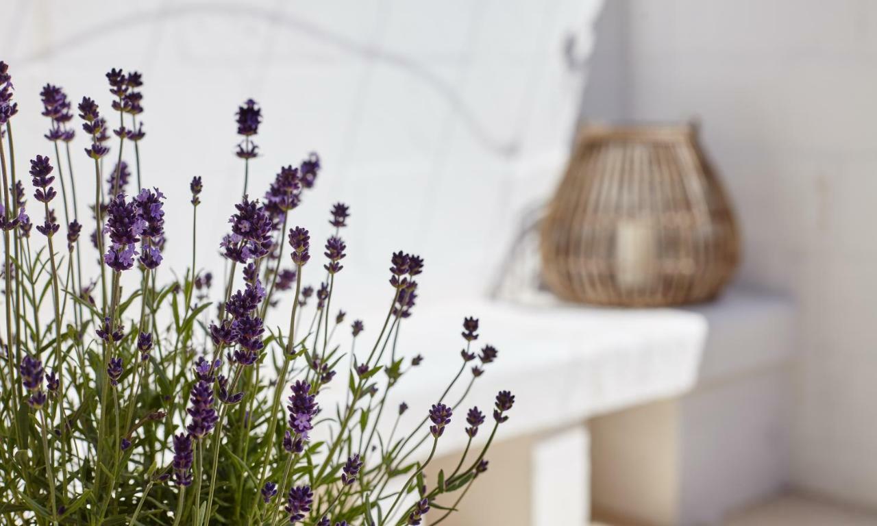 Bed and Breakfast Agapanto Masseria à Conversano Extérieur photo